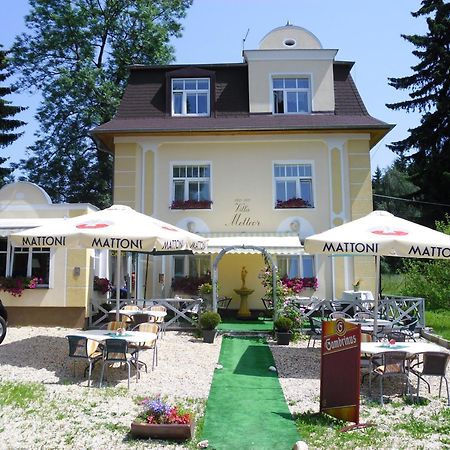 Villa Meteor Marianske Lazne Exterior photo
